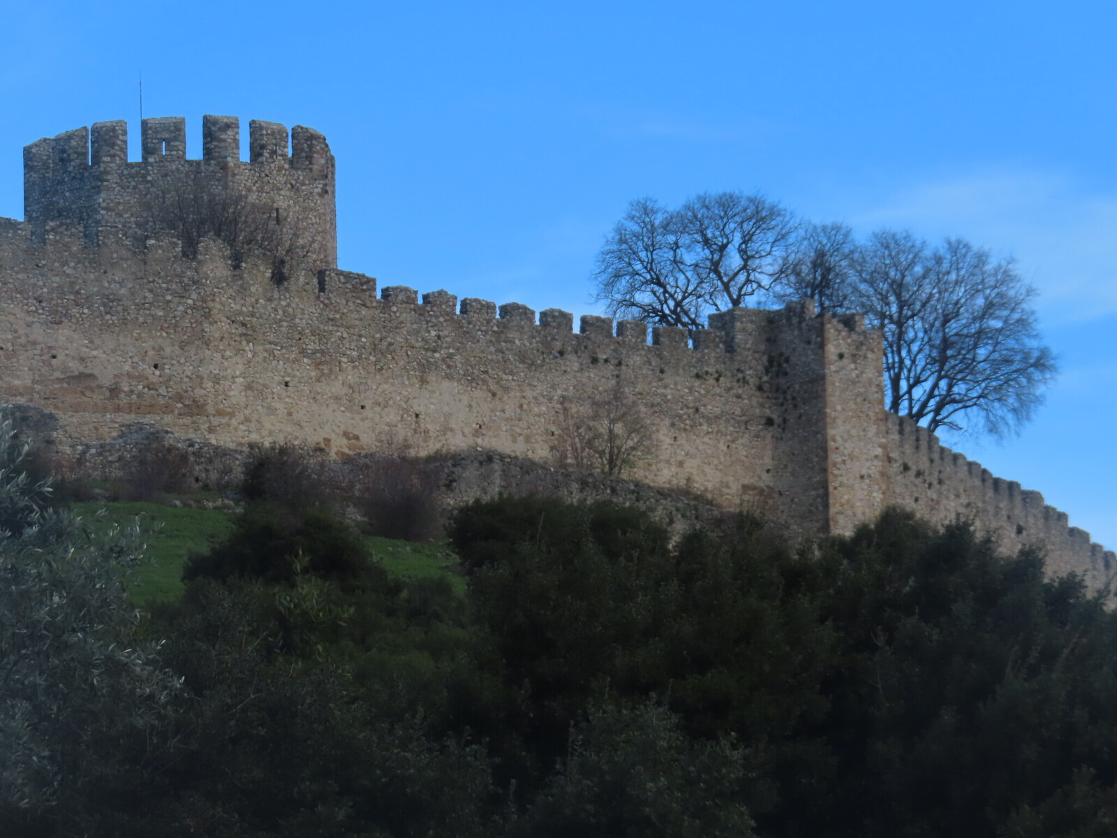 ����� ��������