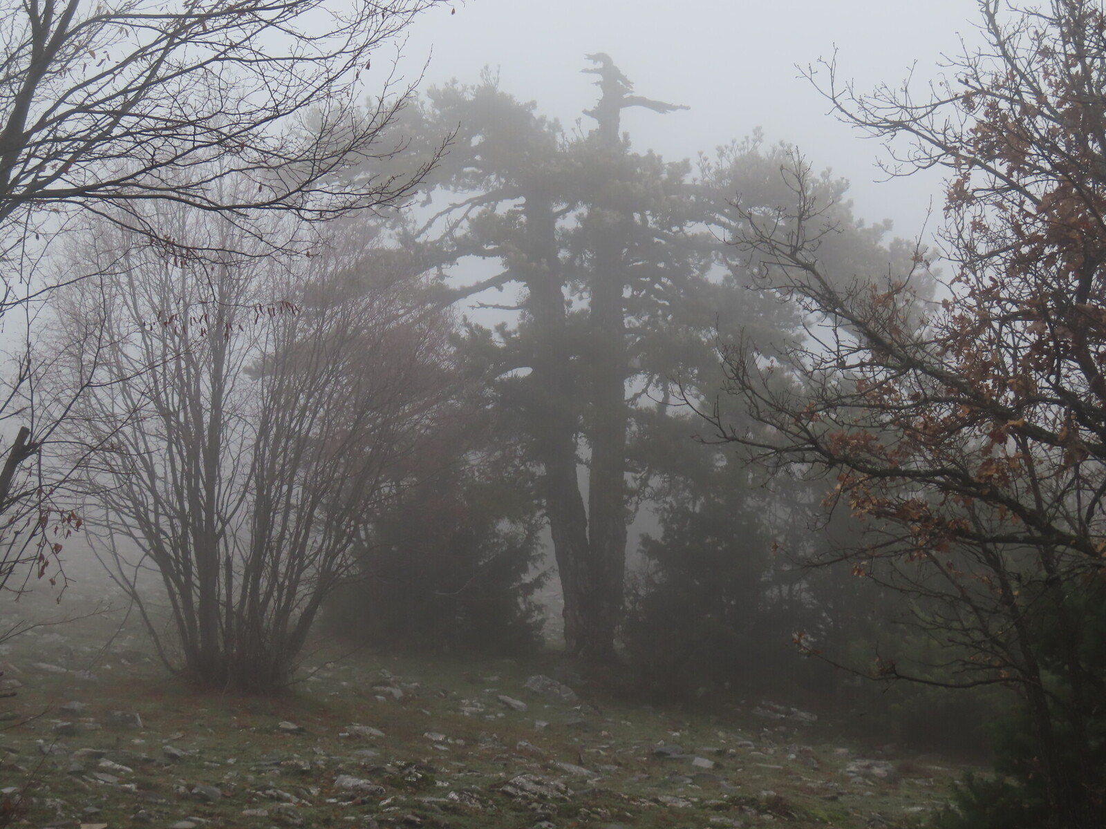 ����� � ������