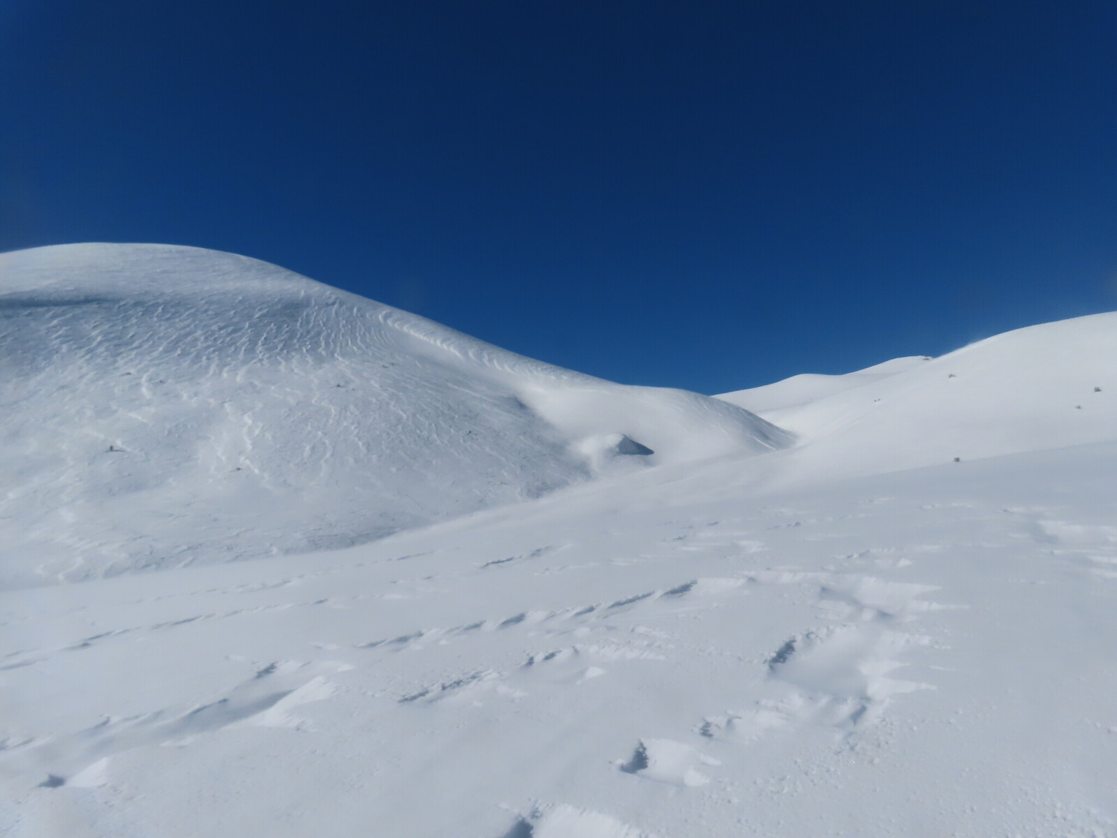 ����, � ������� � ���