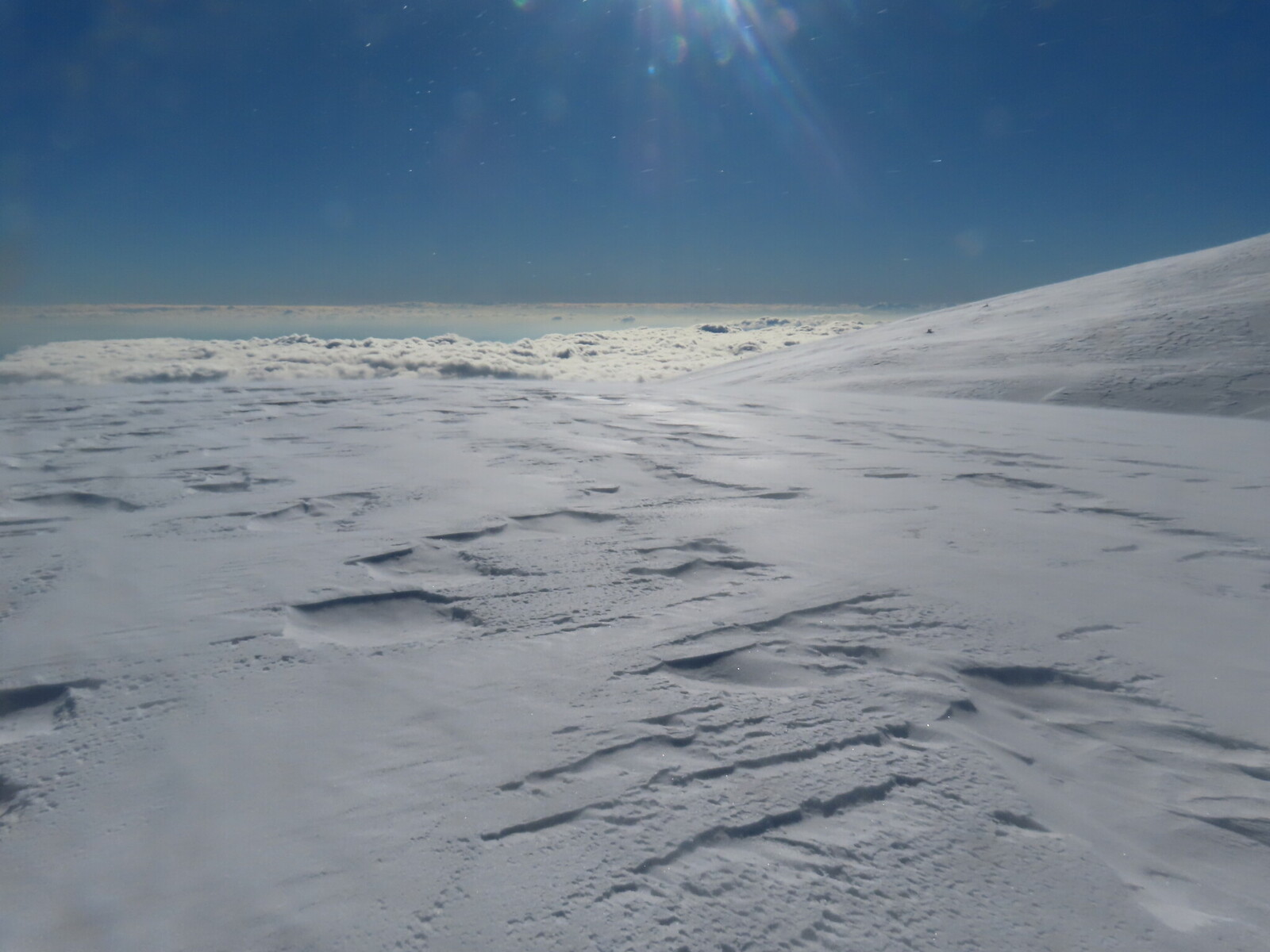 ������ �����