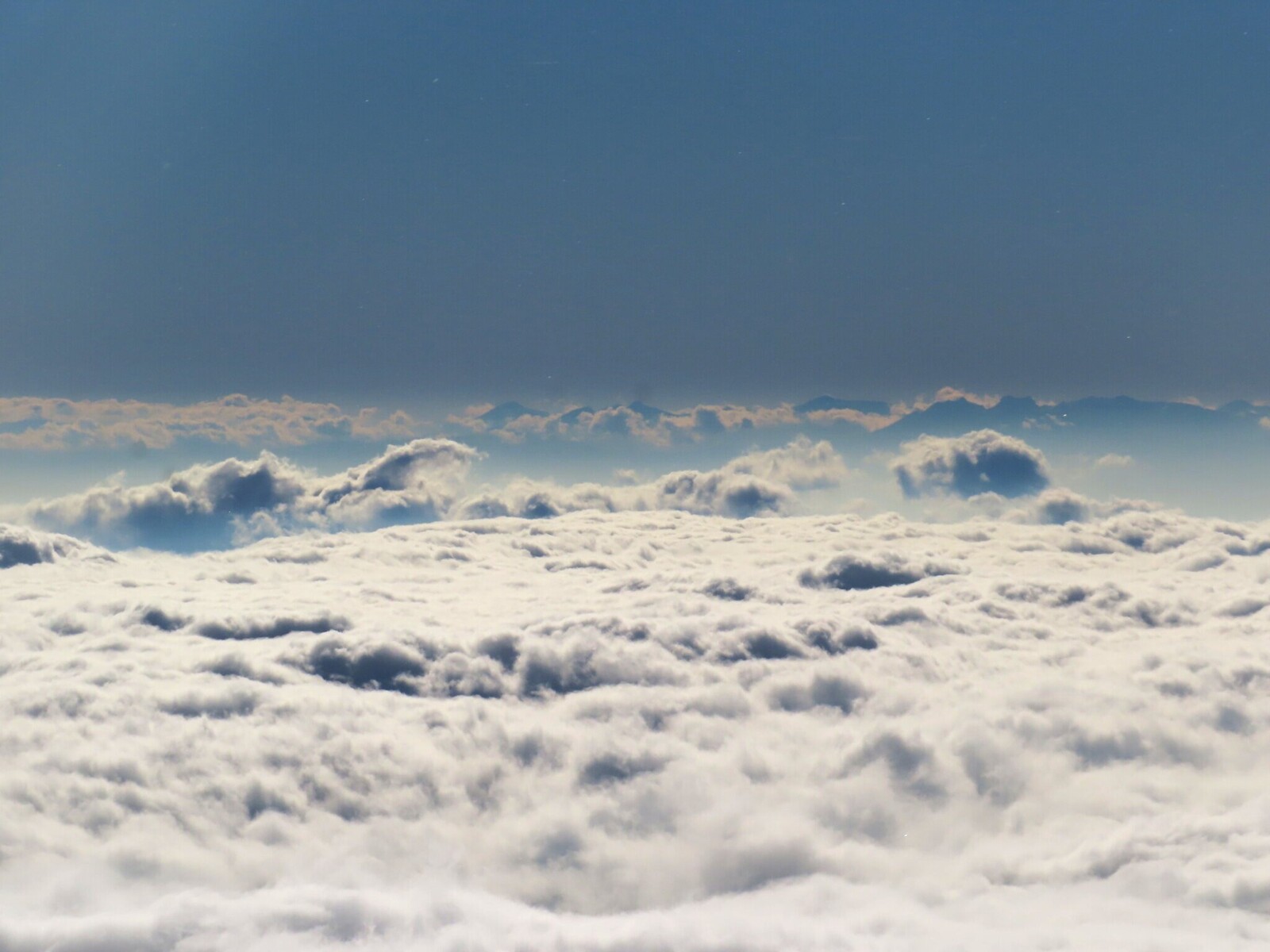 ���� ������� ���� ����