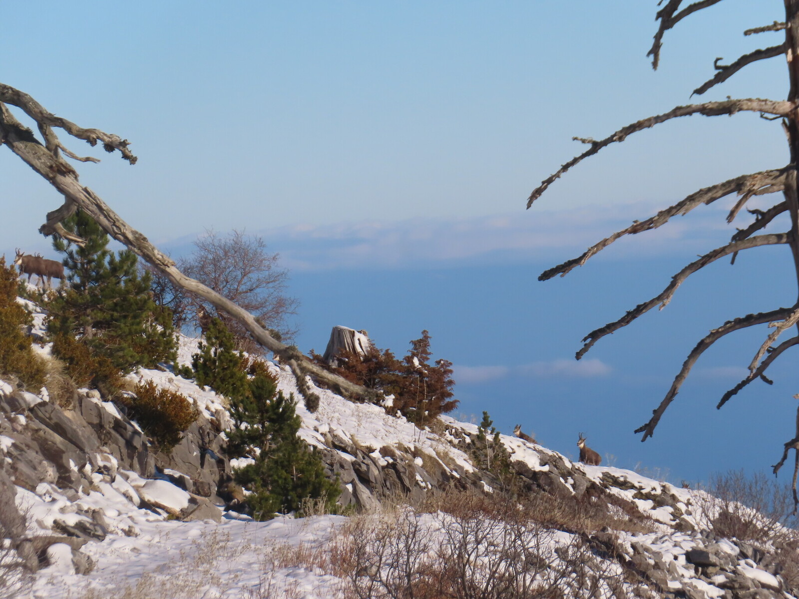 ������ �����