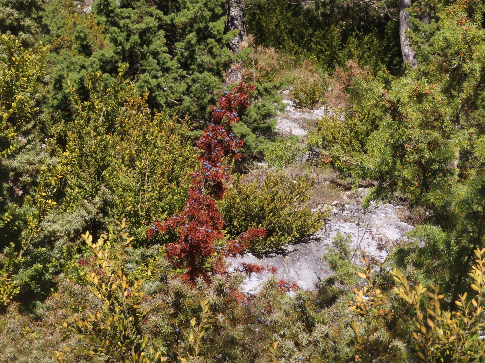 ���������� �� ������, ����������� ��� �����