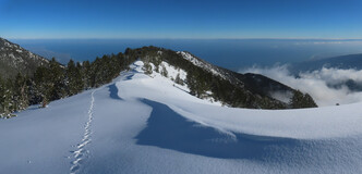 ����� ����� ����