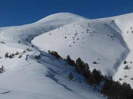 ����� �� ���� ����