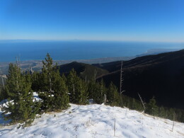 ����� �� �����