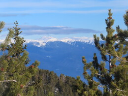 ���� �����