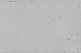 dust